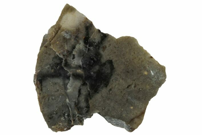 NWA Lunar Meteorite ( g) Slice #307592